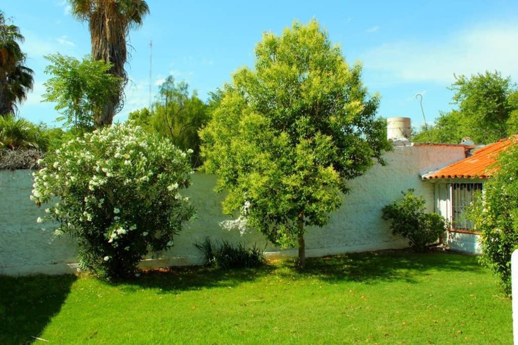 Big Beautiful House With Garden In 5Ta Seccion Neighbourhood Villa Mendoza Buitenkant foto