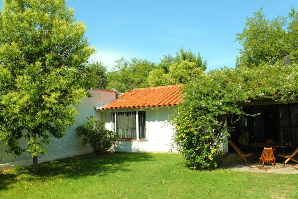 Big Beautiful House With Garden In 5Ta Seccion Neighbourhood Villa Mendoza Buitenkant foto
